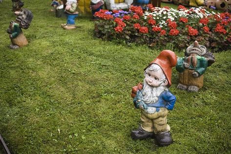 Gnome Meaning, Unique Outdoor Spaces, Gravel Path, Famous Novels, Thriving Garden, Garden Gnomes, Quirky Decor, Classic Garden, Fairies Elves