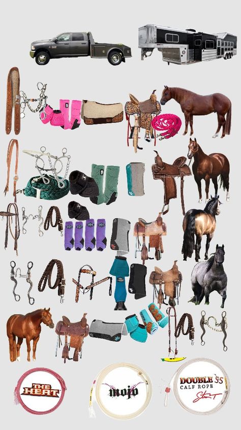 Horse Needs, Western Horse Tack Turquoise, Western Riding Clothes, Barrel Racing Tack Rodeo, Western Horse Saddles, Horse Riding Outfit, Barrel Racing Tack, Riding Clothes, Western Clothes