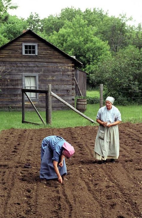 Planting Garden ~ The women were in charge of the garden to grow vegetables for food and can for the winter. Proverbs 31 Woman, Country Scenes, Farms Living, Amish Country, Down On The Farm, Rural Life, Village Life, Country Farm, Proverbs 31