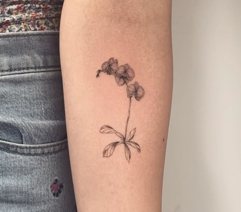 Classic Tattoo Designs, Orchid Flower Tattoos, Daisy Flower Tattoos, Tattoo Leggings, Pig Tattoo, Brain Tattoo, Shell Tattoos, Cherub Tattoo, Tattoo Tiny