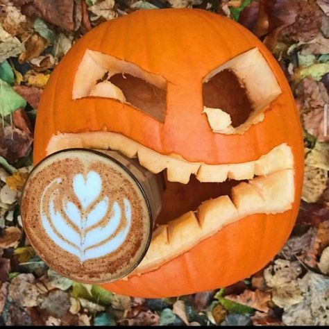 Coffee Pumpkin Carving, Wall Mirrors Decor Ideas, Easy Pumpkin Carving Ideas, Halloween Pumpkin Carving Ideas, Pumpkin Cravings, Halloween Pumpkin Carving, Easy Pumpkin Carving, Pumpkin Carving Ideas, Fun Fall Activities