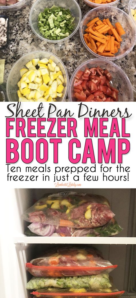 Sheet Pan Dinners Freezer Meal Boot Camp has 10 delicious sheet pan recipes combined into one meal prep session. Includes recipes for chicken, steak, pork, and more - there are even free bag labels and recipe card printables! Recipes For Chicken, Budget Freezer Meals, Healthy Freezer Meals, Sheet Pan Suppers, Pan Chicken Fajitas, Sheet Pan Dinners Recipes, Freezer Meal Prep, One Pan Dinner, Recipe Sheets