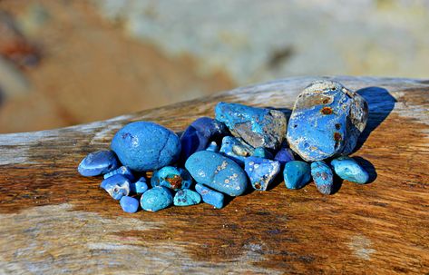 Lake Michigan Stones, Leland Blue Stone, Michigan Rocks, Michigan Nature, Blue Rocks, Horn Coral, Rock Club, Minerals Museum, Lake Michigan Beaches