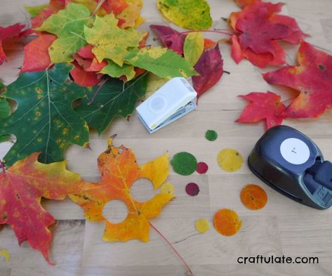 Paper Punch Real Leaf Collage - a fall art activity for kids Leaf Stamping, Art Activity For Kids, Funky Fingers, Leaf Collage, Paper Punches, Real Leaf, Activities Preschool, Art Activity, Real Leaves