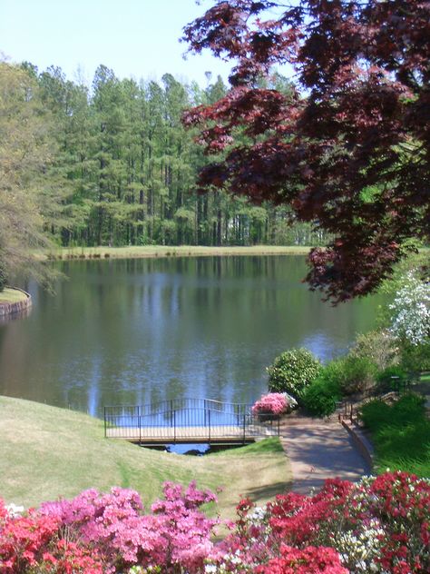 McIver Amphitheatre at Meredith College, Raleigh, North Carolina. Raleigh North Carolina Aesthetic, North Carolina Aesthetic, Carolina Aesthetic, Meredith College, Scene Ideas, College Vision Board, Triangle Area, Carolina Girl, North Carolina Homes