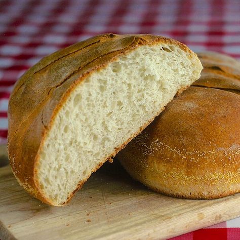 Easy Sourdough Bread, Newfoundland Recipes, Easy Sourdough, Rock Recipes, Bread Starter, Sourdough Bread Recipe, Bread Machine Recipes, Sourdough Recipes, Bakery Recipes