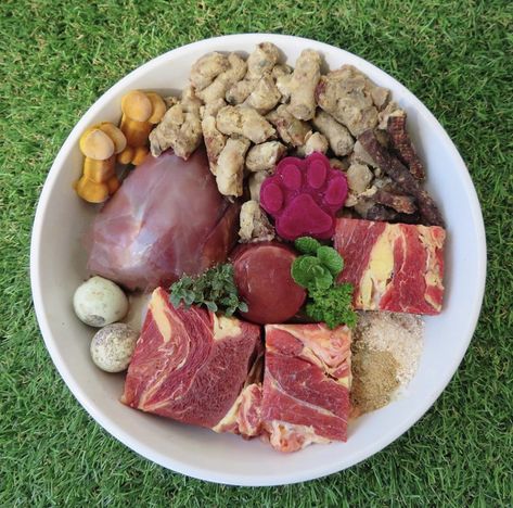 Dog Meal Ideas, Dog Raw Food, Cat Meals, Raw Food For Dogs, Dog Food Ideas, Rich Dog, Dog Backyard, Raw Dog Food Diet, Raw Pet Food