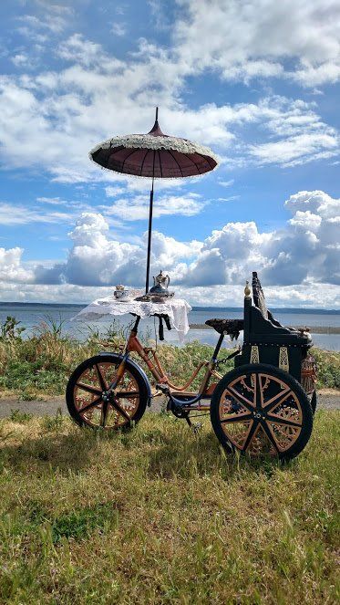 Steampunk Tea Party, Fantasy Bicycle, Steampunk Bike, Steampunk Bicycle, Port Townsend Washington, Tweed Ride, Punk Shop, Steampunk Vehicle, Steampunk Party