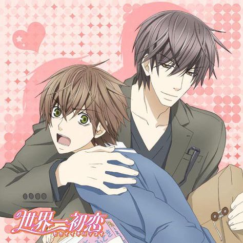 Onodera Ritsu and Takano Masamune (Sekai-ichi Hatsukoi) Sekaiichi Hatsukoi, Anime Galaxy, Pandora Hearts, Anime Kawaii, Japanese Anime, Original Artists, Anime Boy, Manga Anime, Romance