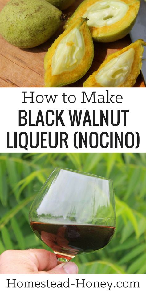 Walnut Liquor Recipe, Walnut Liqueur, Black Walnut Bitters, Walnut Cocktail, Homemade Liquors, Cocktail Gin, Homemade Alcohol, Homemade Liquor, Liquor Recipes