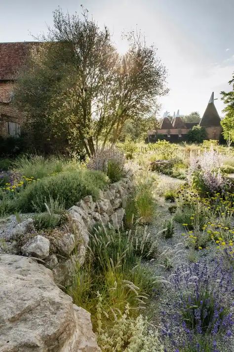 Romantic Garden Ideas, Sissinghurst Garden, Judas Tree, Greek Garden, Island Garden, Tattoo Plant, Love Grows Here, American Garden, Front Garden Design