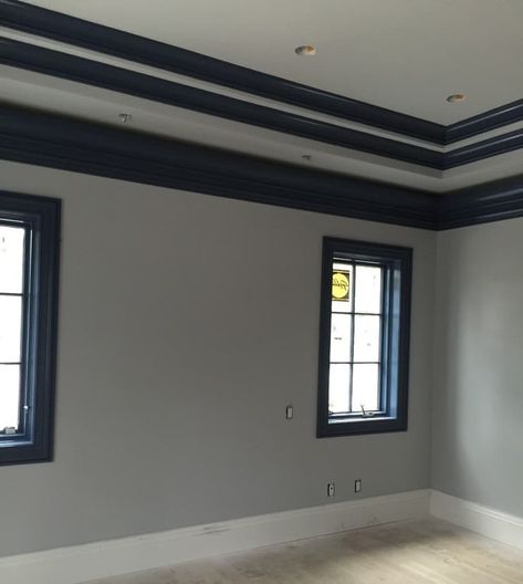 What Color Trim Goes with Gray Walls? (25 Ideas) - FarmFoodFamily Gray Moldings And Trim, Light Gray Walls With Dark Gray Trim, Gray Walls With Dark Trim, Gray Walls Black Trim Living Room, Black Trim Grey Walls Interior, Light Grey Walls With Black Trim, Gray Walls With Black Trim, Light Walls With Dark Trim, What Color Goes With Gray