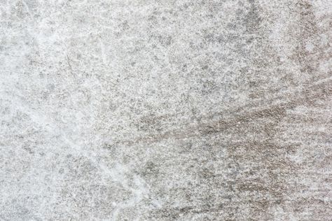 How to Remove Mold from Concrete Concrete Molds Patio, Concrete Basement Floors, Clean Concrete, Concrete Deck, Concrete Bench, Mold Remover, Basement Flooring, Concrete Patio, Concrete Wall