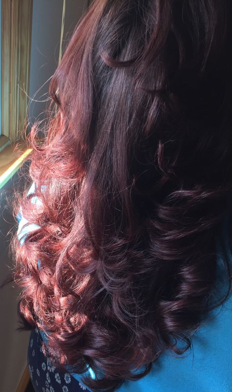 Black Hair With Red Tint In Sun, Dark Red Hair In The Sun, Black Hair That Looks Red In The Sun, Curly Dark Red Hair Dyed, Red Henna On Brown Hair, Red Hair In The Sun, Red Glaze On Brown Hair, Red Dye On Brown Hair, Super Dark Red Hair