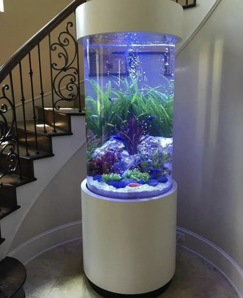 Cylinder Fish Tank, Bathroom Aquarium, Hexagon Fish Tank, Modern Fish Tank, Fish Tanks Ideas, Home Decor Ideas Paint, Aquarium Tanks, Custom Aquarium, Fish Tank Themes