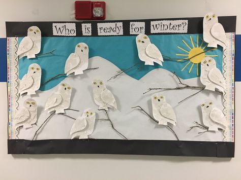 Artic Animal Bulletin Board Ideas, Owl Preschool Crafts, Snow Owl Craft, Bird Bulletin Boards, Owl Bulletin Boards, Owl Preschool, Classroom Center Signs, Snow Owls, Owl Activities