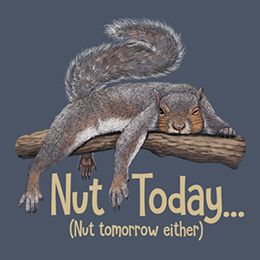 Funny Squirrel Pictures, Earth Sun And Moon, Squirrel Pictures, Squirrel Funny, Cute Squirrel, Nature Themed, Gifts For Nature Lovers, Funny Animal Pictures, Funny Animal