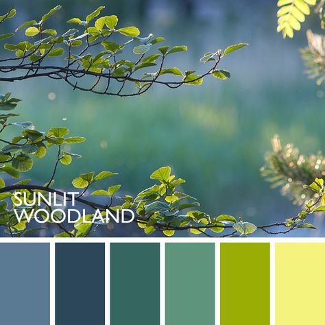 Woodland Colour Palette, Nature Pallete Colour Palettes, Jungle Colours Palette, Wildlife Colour Palette, Design Seeds Color Palette Nature, Color Pallets Green Nature, Color Chart, Color Themes, Colour Palette