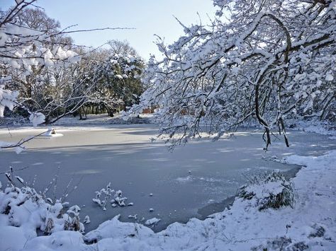 Ice Skating Outdoors, Frozen Images, Pond Aerator, Farm Pond, Maladaptive Daydreaming, Frozen Pond, Icebreakers, On Writing, Winter Love