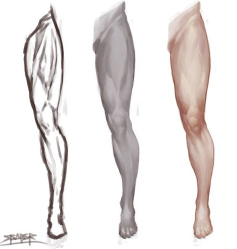 Character Design Collection: Legs Anatomy Leg Anatomy, Body Draw, Drawing Legs, Man Anatomy, Human Leg, Anatomy Tutorial, Muscle Anatomy, Human Anatomy Art, Anatomy Sketches