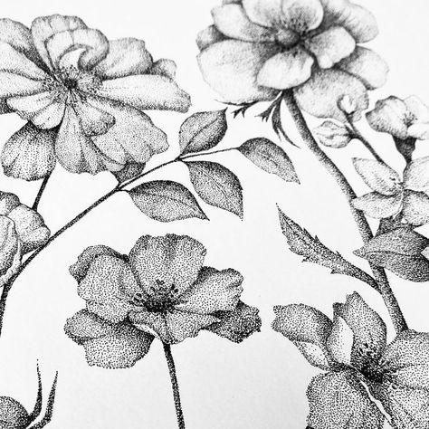 Stippling Drawing, Dotted Drawings, Pen Art Drawings, Flower Art Drawing, Sketchbook Drawings, Flower Art Painting, Stippling, Realistic Drawings, Drawing Artwork