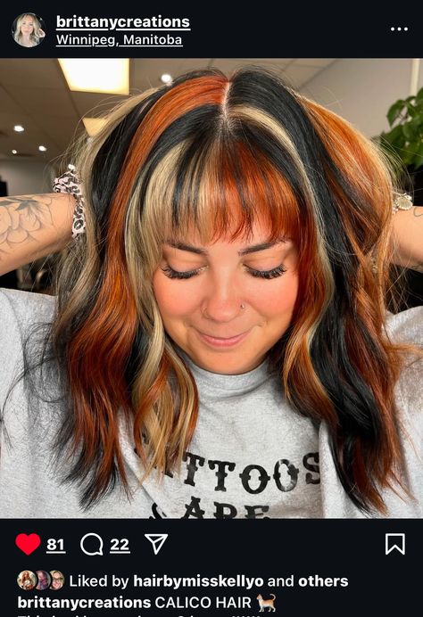 Chunky Fall Hair, Colorful Fall Hair Colors, Brown Hair With Orange Streaks, Edgy Color Block Hair, Orange Peek A Boo Hair, Blonde Copper And Brown Hair, Calico Hair Placement, Calico Hair With Bangs, Calico Hair Color Placement