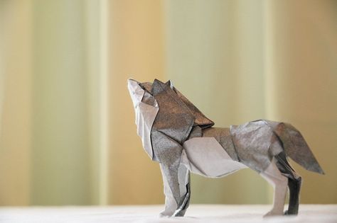 Photo by kosuke nakamura (source: ) #origami #wolf Wolf Origami, Instruções Origami, Origami Animals, Origami Crafts, Simple Shapes, Art Inspiration Drawing, Origami, Art Inspiration, Paper Crafts