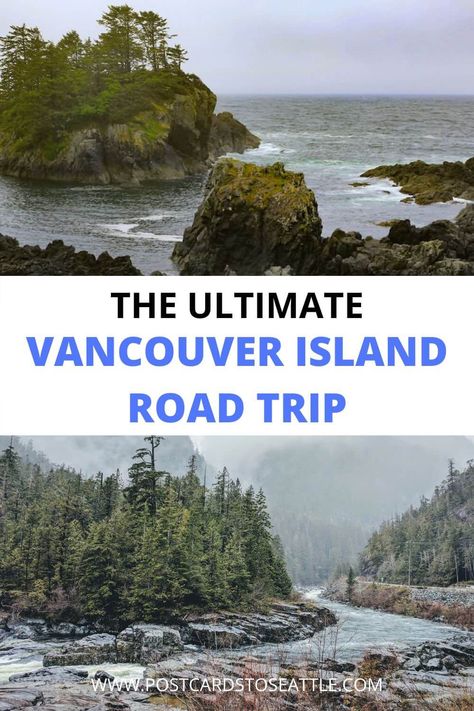 Headed on a Vancouver Island road trip in British Columbia? Here are the best places to stop on Vancouver Island and sample Vancouver Island itineraries to follow. Vancouver Island British Columbia | Vancouver Island itinerary | things to do on Vancouver Island | drive around Vancouver Island Travel Vancouver Island, Cider Wine, Visit Vancouver, Canada Travel Guide, Canada Road Trip, North Vancouver, Trip Itinerary, Island Travel, Road Trip Itinerary