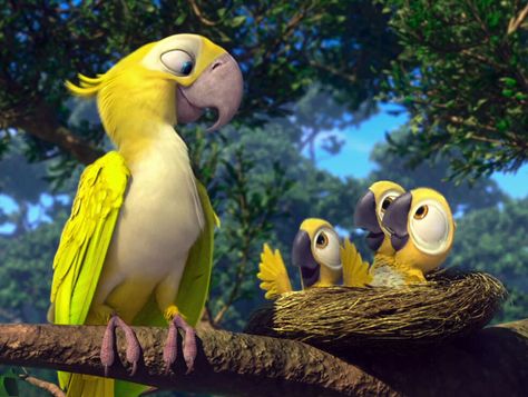 Golden Conure, Rio Movie, Blue Sky Studios, Rio 2, Film Anime, Jungle Wallpaper, Bird Drawings, In The Beginning, Disney And Dreamworks