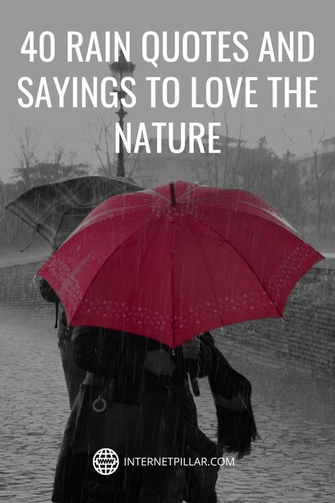 40 Rain Quotes and Sayings to Love the Nature - #quotes #bestquotes #dailyquotes #sayings #captions #famousquotes #deepquotes #powerfulquotes #lifequotes #inspiration #motivation #internetpillar Thank You For The Rain Quote, Its Raining Quotes, Rain Sayings, Raining Day Quotes, Dancing In The Rain Quotes, Caption For Rain, Rainy Weather Quotes, Happy Rain Quotes, Love Rain Quotes