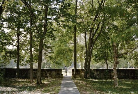 Michael Van Valkenburgh Associates Inc | Mill Race Park Columbus Park, Park Entrance, Columbus Indiana, Round Lake, Forest Trail, Hill Park, Natural Park, Urban Spaces, Forest Landscape