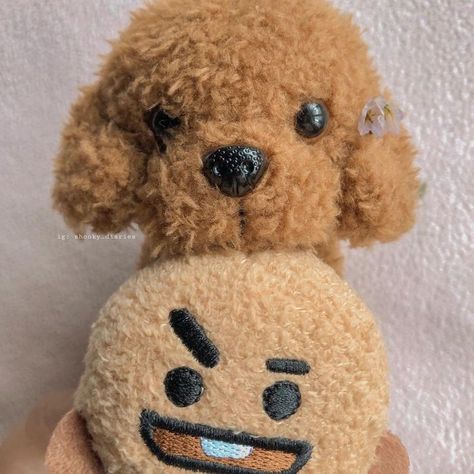 shooky and holly #shooky #bt21 Shooky Plush, Shooky Bt21, Bt21 Characters, Bt 21, Ig Feed, Ig Post, Post Ideas, Funny Pictures, Teddy Bear