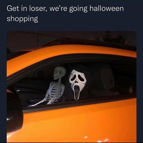 Funny Halloween Memes, Horror Movies Funny, Ghostface Scream, Halloween Memes, Horror Villains, Get In Loser, Horror Movie Icons, Funny Horror, Funny Ghost