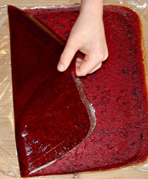 How to Make Easy and Delicious Fruit Leather • Craft Invaders Grab And Go Snacks, Homemade Fruit Leather, Savory Snack Recipes, Fruit Leather Recipe, Plum Recipes, Plum Fruit, Fruit Leather, Fruit Roll, Fruit Roll Ups