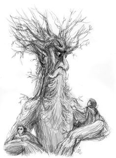 With Merry and Pippin in his branches. Description from pinterest.com. I searched for this on bing.com/images Merry And Pippin Tattoo, Treebeard Drawing, Treebeard Tattoo, Lotr Drawings, Observational Drawings, Taking The Hobbits To Isengard, Ring Wraiths, Lotr Tattoo, Merry And Pippin