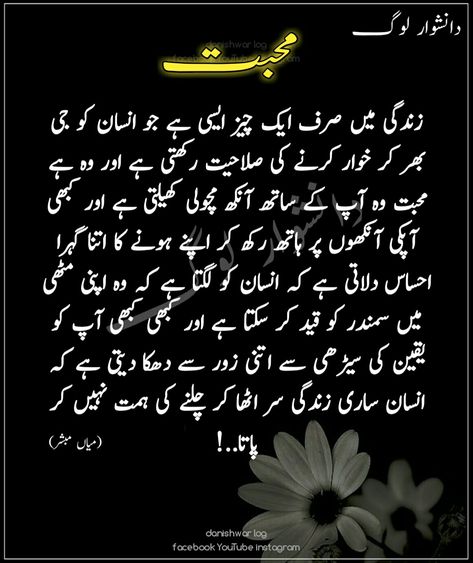 Love Quotes In Urdu, Quotes Urdu, Punjabi Poetry, Sufi Poetry, Love Facts, Urdu Poetry Romantic, Urdu Thoughts, Best Urdu Poetry Images, Simple Love Quotes