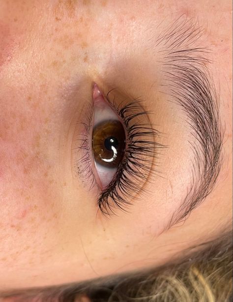 Natural Open Eye Lash Extensions, Open Eye Lashes Extension, Eye Mapping Eyelash Extensions, Cc Curl Lash Extensions, Doll Eye Mapping, Open Eye Lash Extensions, Eye Mapping, Mapping Eyelash Extensions, Natural Looking Lash Extensions