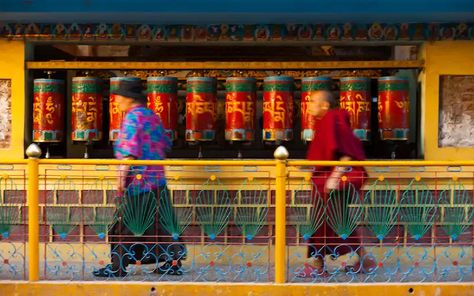 The Dalai Lama Temple Complex is a beautiful and peaceful place located in Upper Dharamshala, just a short walk away from the Mcleod Ganj Bus Stand. Dharamsala India, Inner Energy, Country Love Songs, Dharamsala, Bus Stand, The Dalai Lama, Tourist Guide, Peaceful Places, Dalai Lama