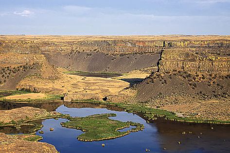 Grand Coulee Dam, History Of Earth, Washington State Travel, Evergreen State, Largest Waterfall, Amazing Pictures, Scenic Drive, Washington State, Pacific Northwest