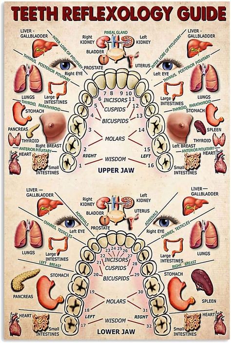 PRICES MAY VARY. Size：8x12Inch Picture：Teeth Reflexology Guide Knowledge No Frames Included – Reminder: This product does not have a photo frame. A 3cm White Frame Is Reserved For You,You can choose your own satisfied photo frame to decorate your home style. The Prints Are Water Resistant, The Paints Can Be Cleaned With A Damp Cloth, Avoid Direct Sunlight For A Long Time And Any Possible Grease Stains. A Ideal Christmas and New Year Gift, Perfect Wall Decorations Paintings for Livingroom, Bedroo Teeth Reflexology, Qui Gong, Healthy Life Hacks, The Teeth, Design Room, Health Knowledge, Unwanted Hair, Reflexology, Décor Diy