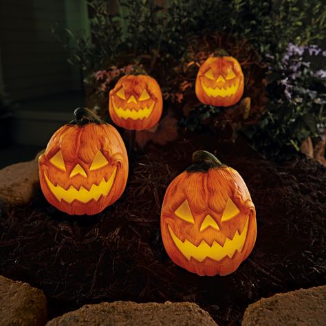 Buy the 5ft. Light Up Pumpkin Pathway Stakes by Ashland® at Michaels. Use these light up pumpkin pathway stakes to transform your yard into a spooky wonderland. Set them up along the pathway to your front door to illuminate the way for trick or treaters. Use these light up pumpkin pathway stakes to transform your yard into a spooky wonderland. Set them up along the pathway to your front door to illuminate the way for trick or treaters. Details: 5 ft. (1.5 m) lighted length 6.5 ft. (2 m) total le Pumpkin Pathway, Up Pumpkin, Light Up Pumpkins, Trick Or Treaters, Halloween Vibes, Halloween Lights, Trick Or Treater, Outdoor Halloween, Halloween Skull