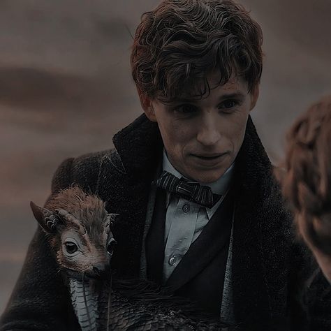 Fantastic Beast Aesthetic, Fantastic Beasts Aesthetic, Newt Fantastic Beasts, Newt Animal, Newt Scamander Aesthetic, Fantastic Beasts Newt, Newton Scamander, Fantastic Beasts Creatures, Harry Potter Creatures