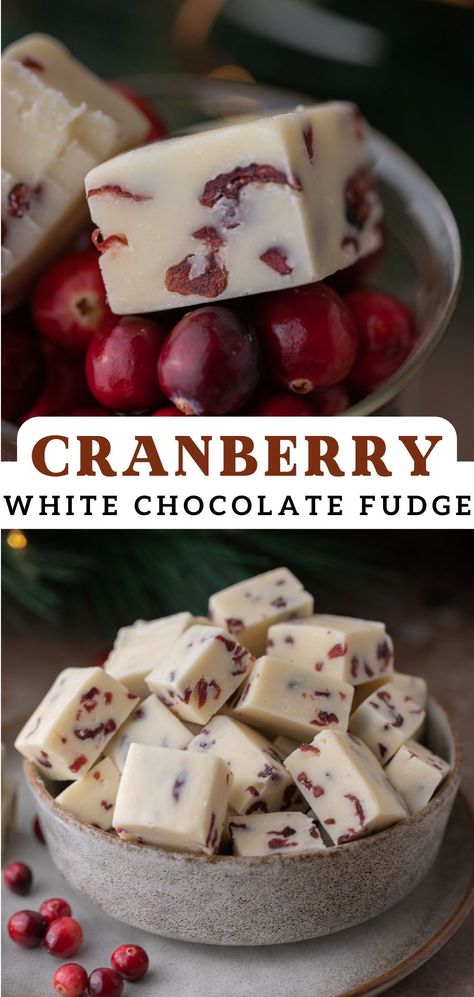 This cranberry white chocolate fudge recipe is the perfect addition to your dessert table during the Christmas holiday. This delicious fudge is guaranteed to satisfy any sweet tooth and bring rave reviews from all of your guests. Follow along with this effortless no-bake recipe to find out how to make it! Cranberry Fudge Recipe, White Chocolate Cranberry Fudge, Cranberry Pistachio Fudge, Raspberry White Chocolate Cookies, White Chocolate Fudge Recipes, Cranberry Fudge, Holiday Recipies, Lifestyle Of A Foodie, Chocolate Fudge Recipe