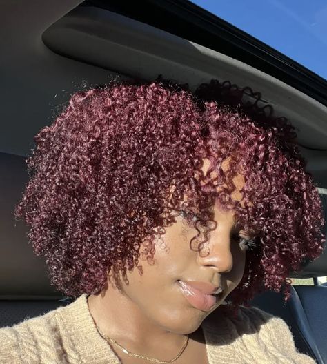 Red Highlights On Dark Hair, Highlights On Dark Hair, Short Natural Curls, Dark Burgundy Hair, Quick Styles, Auburn Highlights, Curly Color, Red Curly Hair, Dark Hair With Highlights