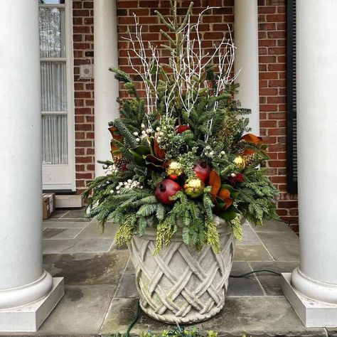 Gasp-worthy winter magic! 🌿🌟 Experience 14 breathtaking Winter Planters For Front Porches Outdoor. Watch your garden containers steal the show! Gardening In Winter, Winter Container Gardening, Winter Planters, Reclaimed Wood Mirror, Front Porch Planters, Container Garden Ideas, Wooden Containers, Outdoor Watch, Winter Planter