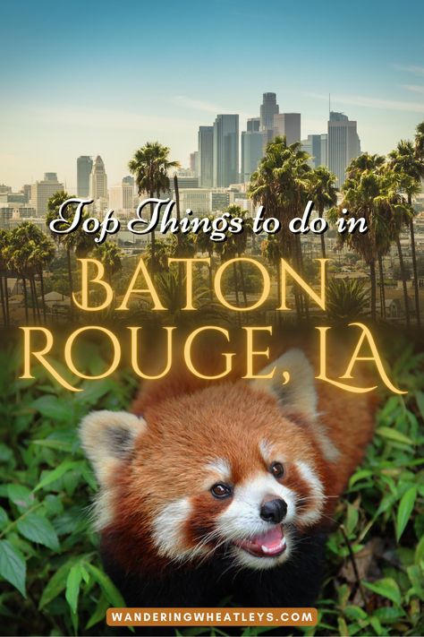 15 Best Things to Do in Baton Rouge Louisiana | Baton Rouge travel guide | attractions in Baton Rouge | places in Baton Rouge | places to visit in Baton Rouge | locations in Baton Rouge | landmarks in Baton Rouge | sights in Baton Rouge | activities in Baton Rouge | museums in Baton Rouge | what to eat in Baton Rouge | what to do in Baton Rouge | things to see in Baton Rouge | Louisiana travel | places in Louisiana | Baton Rouge things to do | USA travel | #BatonRouge #Louisiana #USA Louisiana Baton Rouge, Things To Do In Baton Rouge, Baton Rouge Louisiana Things To Do In, Things To Do In Baton Rouge Louisiana, Downtown Baton Rouge, New Orleans Vacation, Louisiana Travel, Louisiana Usa, North America Travel Destinations