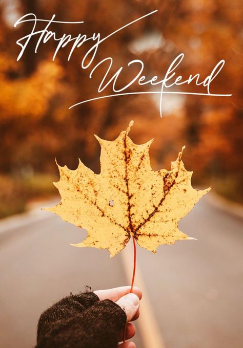 Autumn Weekend Quotes, Hello Weekend Quotes, Hello Weekend Images, Great Weekend Quotes, Weekend Therapy, Happy Thanksgiving Weekend, Fall Friday, Happy Weekend Images, Let The Weekend Begin