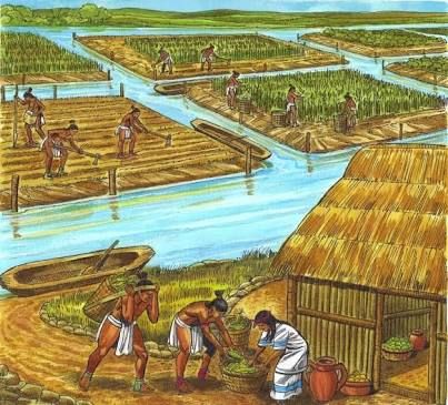 Ancient Egypt Farming, Ancient Indian History, Cell Model, Puerto Rico History, Indus Valley Civilization, Kingdom Come, Village House Design, Indian History, Fantasy Inspiration