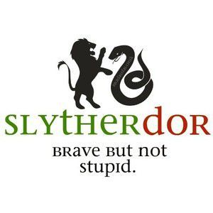 Slytherdor | Which Hogwarts Hybrid House are you In - Quiz Harry Potter House Quiz, House Quiz, Harry Potter Sorting, Harry Potter Sorting Hat, Harry Potter Quizzes, Harry Potter Room Decor, Harry Potter Slytherin, Potter Head, Slytherin Pride