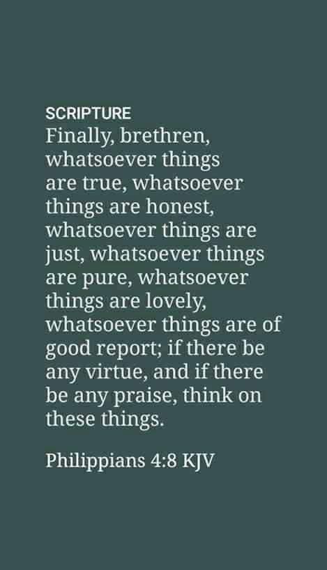 Whatsoever Things Are True, Whatsoever Things Are Lovely, Bible Verses Kjv, When Youre Feeling Down, Feeling Down, Verses, Bible Verses, Encouragement, Bible